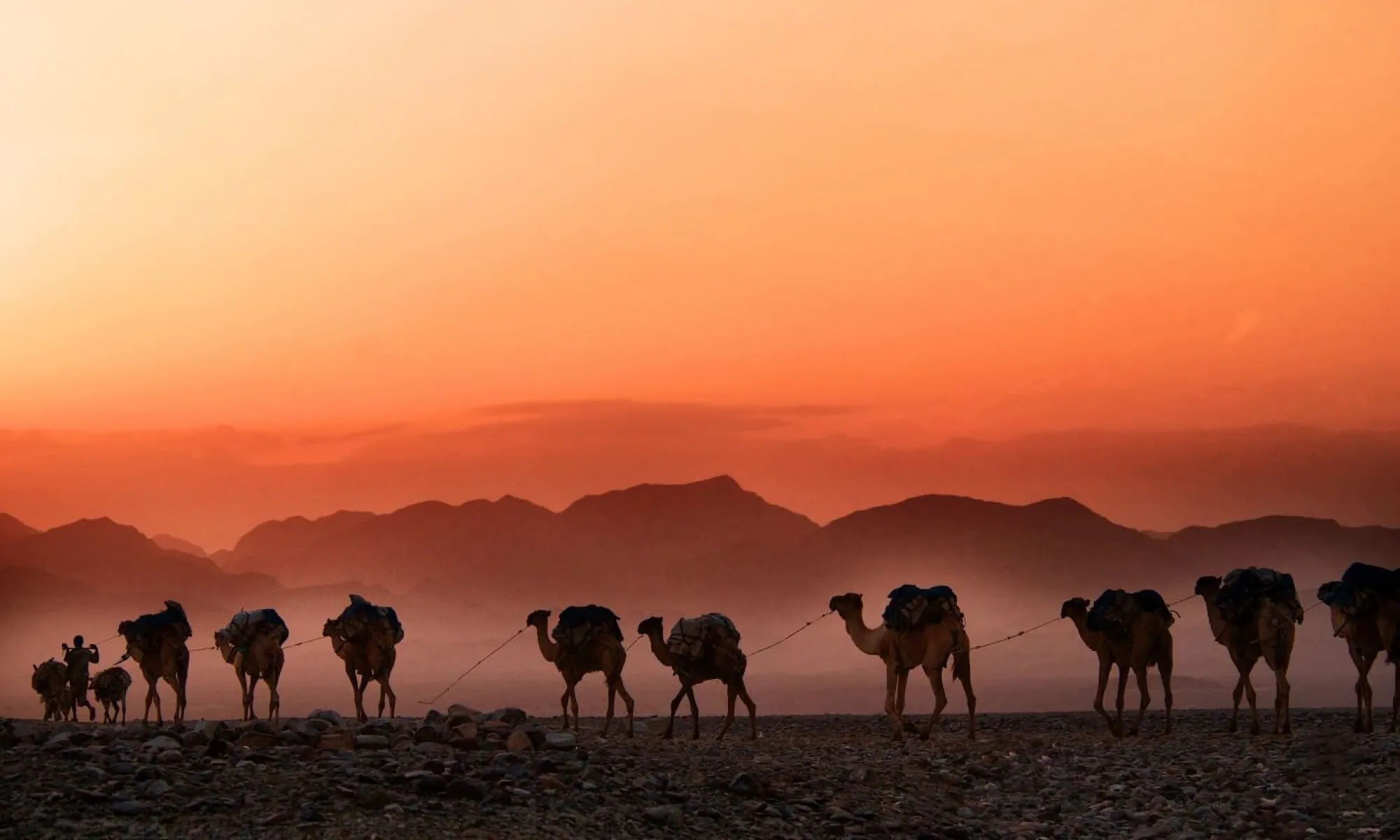 A caravan of camels in the desert. The sun sets and paints the sky orange. Mountains are visible in the background.